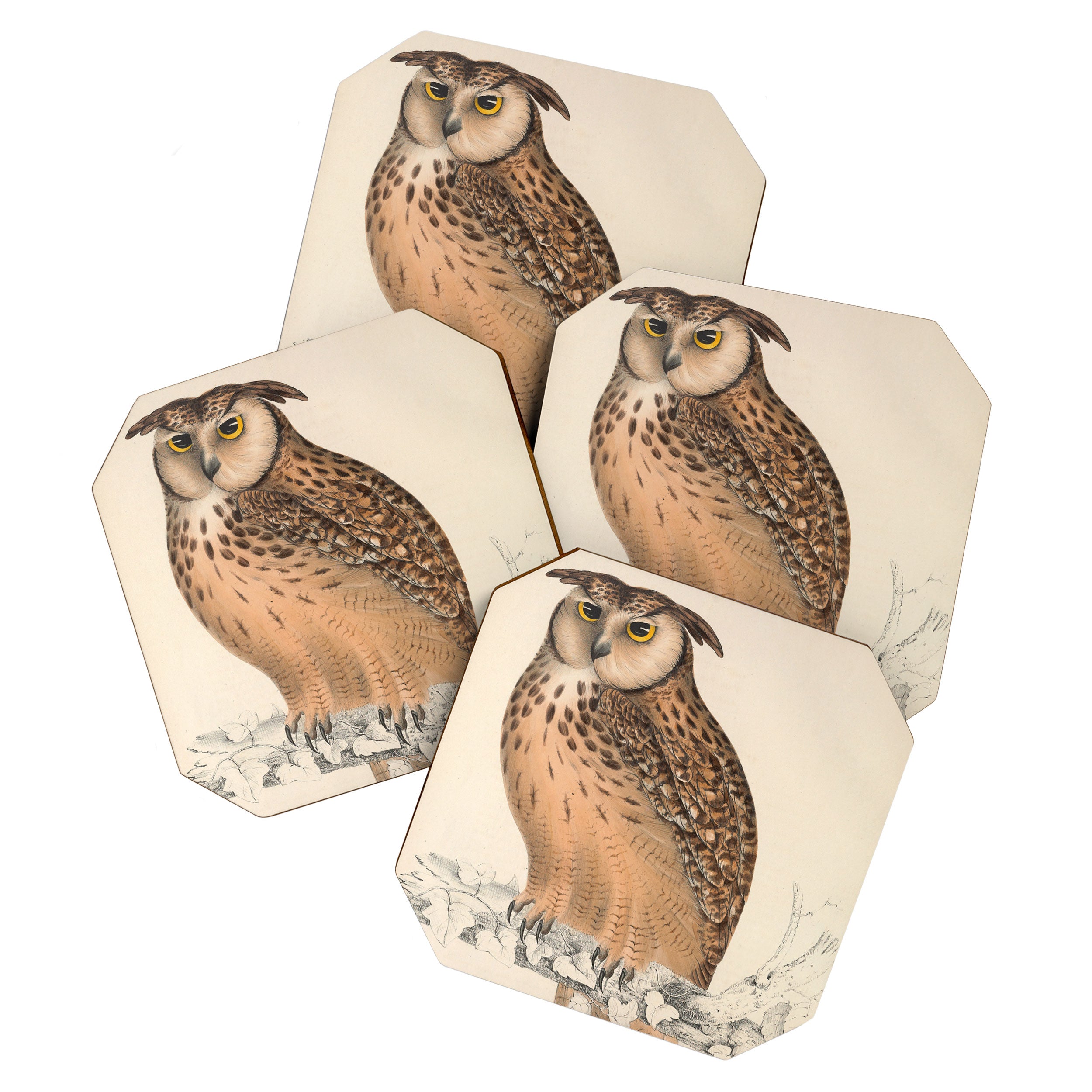 Rock eagle-owl by Elizabeth Gould from "A Century of Birds from the Himalaya Mountains," 1831 Coaster Gallery Image 1