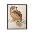 Rock eagle-owl by Elizabeth Gould from "A Century of Birds from the Himalaya Mountains," 1831 Framed Canvas Print Gallery Image 6
