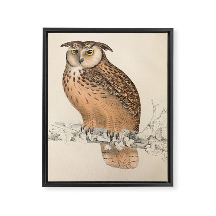 Rock eagle-owl by Elizabeth Gould from "A Century of Birds from the Himalaya Mountains," 1831 Framed Canvas Print Gallery Image 1