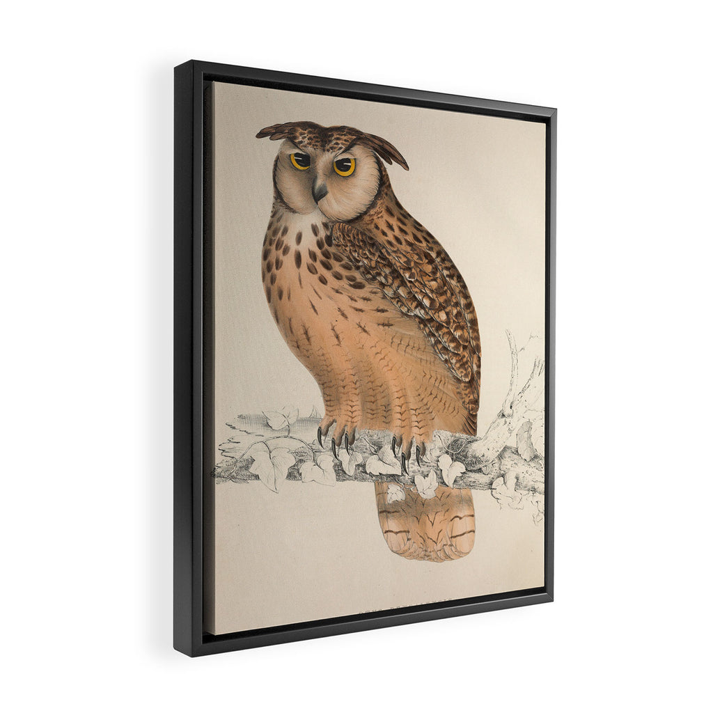 Rock eagle-owl by Elizabeth Gould from "A Century of Birds from the Himalaya Mountains," 1831 Framed Canvas Print Gallery Image 2