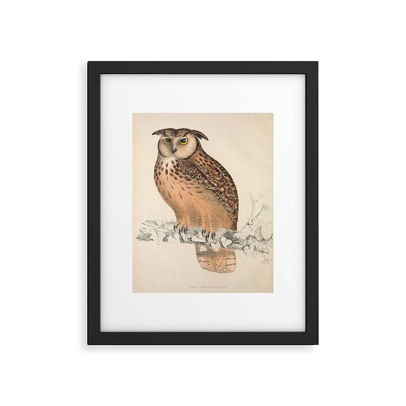 Rock eagle-owl by Elizabeth Gould from "A Century of Birds from the Himalaya Mountains," 1831 Framed Art Print Gallery Image 5