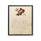 Rose by Sarah Mapps Douglass, 1833 Framed Canvas Print Gallery Image 6