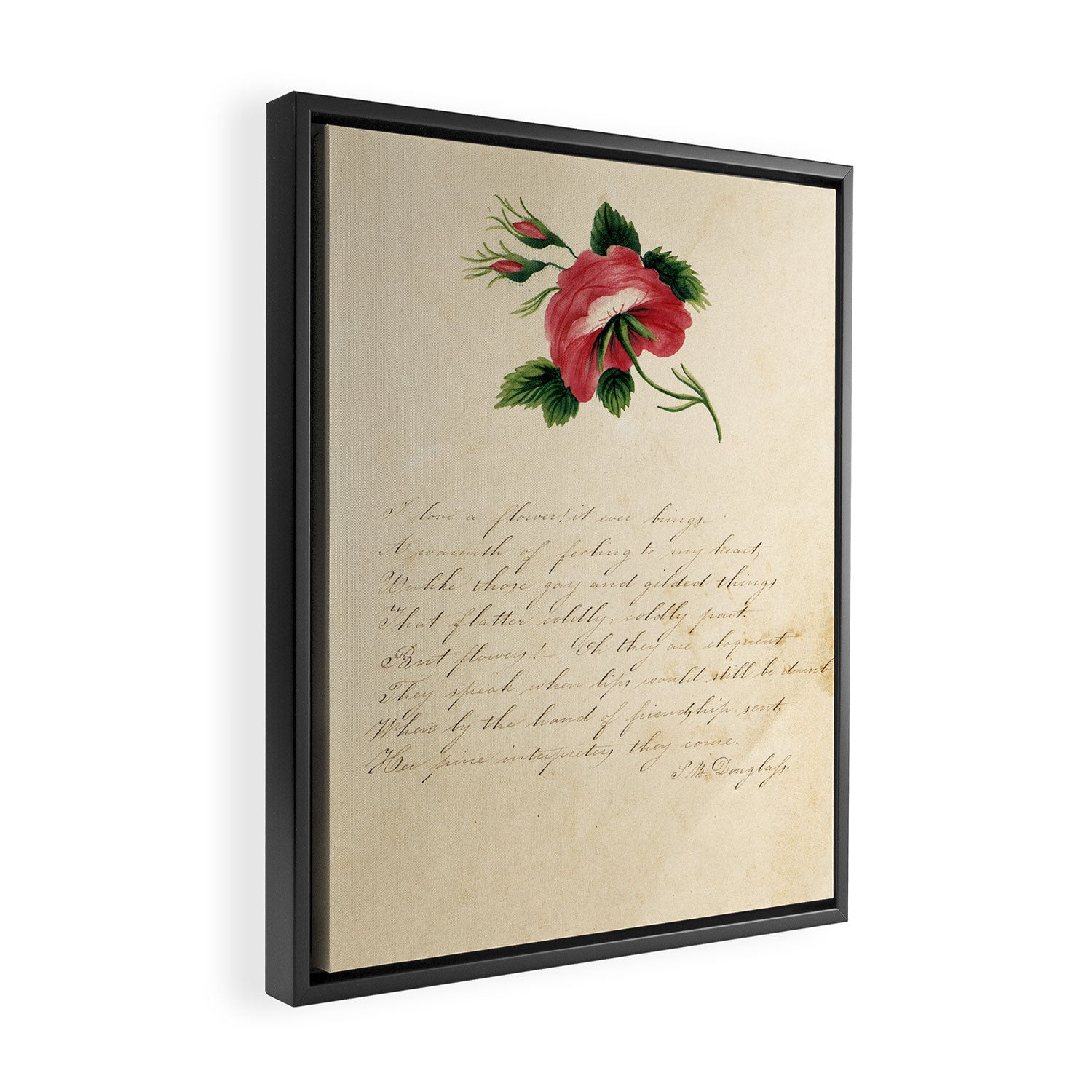Rose by Sarah Mapps Douglass, 1833 Framed Canvas Print Gallery Image 2