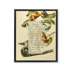 Ruby-throated Hummingbird Divination from # An Almanac of Birds # Divinations for Uncertain Days Framed Canvas Print Gallery Image 6