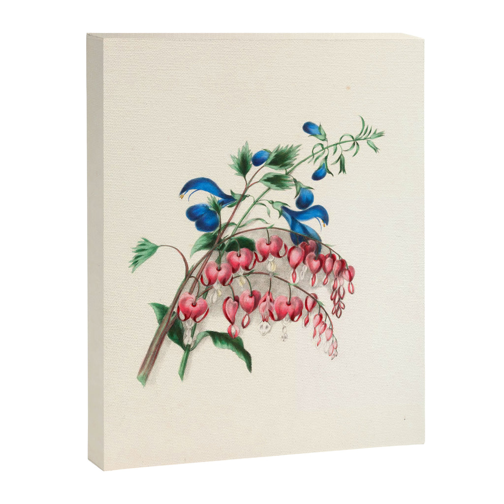 Salvia and dielytra flowers by Clarissa Munger Badger, 1866 (benefitting The Nature Conservancy) Canvas Print Gallery Image 6
