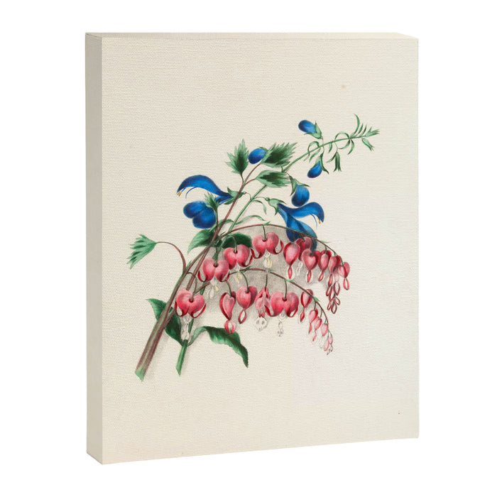  Salvia and dielytra flowers by Clarissa Munger Badger, 1866 (benefitting The Nature Conservancy) Canvas Print Gallery Image 1