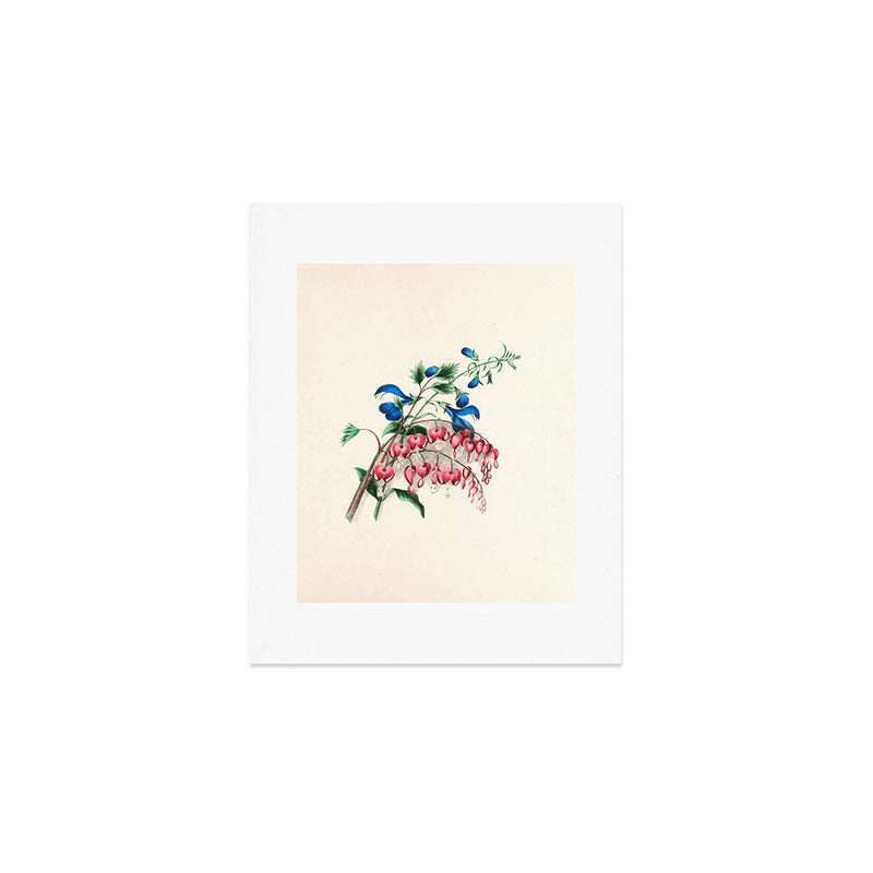 Salvia and dielytra flowers by Clarissa Munger Badger, 1866 (benefitting The Nature Conservancy) Art Print Gallery Image 1
