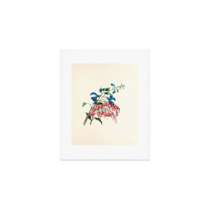  Salvia and dielytra flowers by Clarissa Munger Badger, 1866 (benefitting The Nature Conservancy) Art Print Gallery Image 1