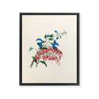  Salvia and dielytra flowers by Clarissa Munger Badger, 1866 (benefitting The Nature Conservancy) Framed Canvas Print Gallery Image 6