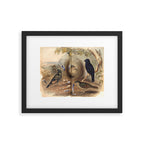 Satin Bowerbird by Elizabeth Gould, 1840s (benefitting The Nature Conservancy) Framed Art Print Gallery Image 5