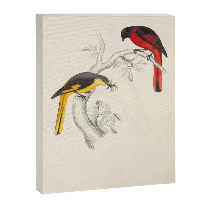 Short-billed minivet by Elizabeth Gould from "A Century of Birds from the Himalaya Mountains," 1831 Canvas Print Gallery Image 1