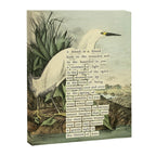 Snowy Heron Divination from # An Almanac of Birds # Divinations for Uncertain Days Canvas Print Gallery Image 6