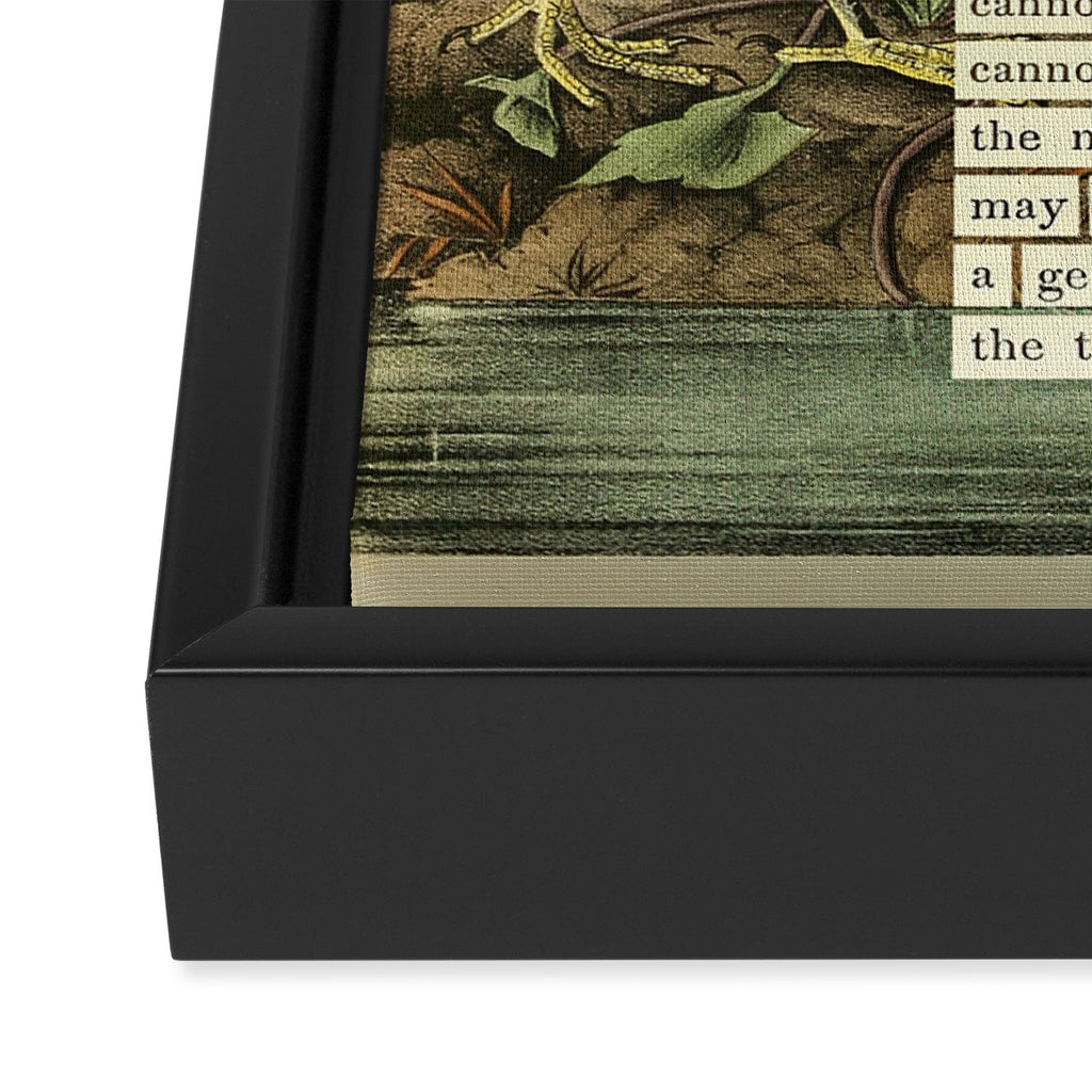 Snowy Heron Divination from # An Almanac of Birds # Divinations for Uncertain Days Framed Canvas Print Gallery Image 3