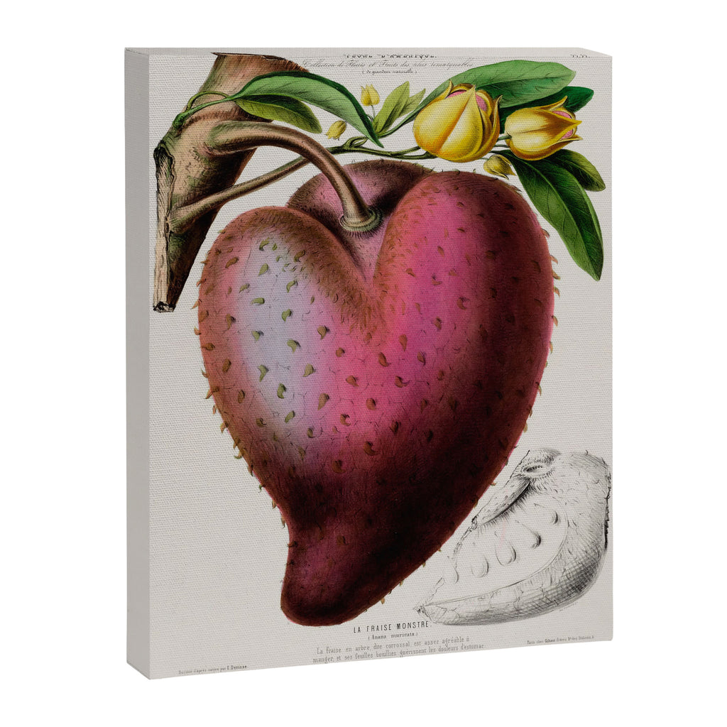 Soursop from "Flore dâAmÃ©rique" by Ãtienne Denisse, 1840s Canvas Print Gallery Image 6