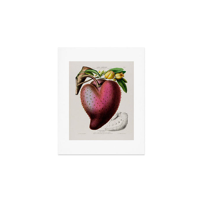 Soursop from "Flore dâAmÃ©rique" by Ãtienne Denisse, 1840s Art Print Gallery Image 1