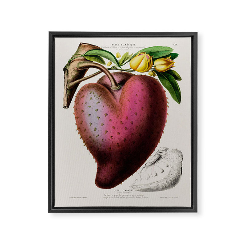 Soursop from "Flore dâAmÃ©rique" by Ãtienne Denisse, 1840s Framed Canvas Print Gallery Image 6