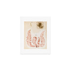 Specimens from "Algology: Algae and Corallines from the Bay & Harbor of New York," 1850 Art Print Gallery Image 1