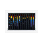 Spectra of various substances, from "Les phénomènes de la physique" (1868) Art Print Gallery Image 1
