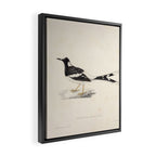 Spotted forktail by Elizabeth Gould from "A Century of Birds from the Himalaya Mountains," 1831 Framed Canvas Print Gallery Image 2