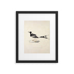 Spotted forktail by Elizabeth Gould from "A Century of Birds from the Himalaya Mountains," 1831 Framed Art Print Gallery Image 5