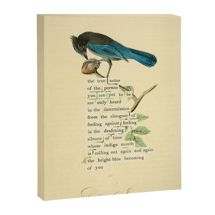 Stellers Jay Divination from # An Almanac of Birds # Divinations for Uncertain Days Canvas Print Gallery Image 1