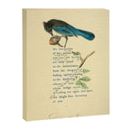 Stellers Jay Divination from # An Almanac of Birds # Divinations for Uncertain Days Canvas Print Gallery Image 6