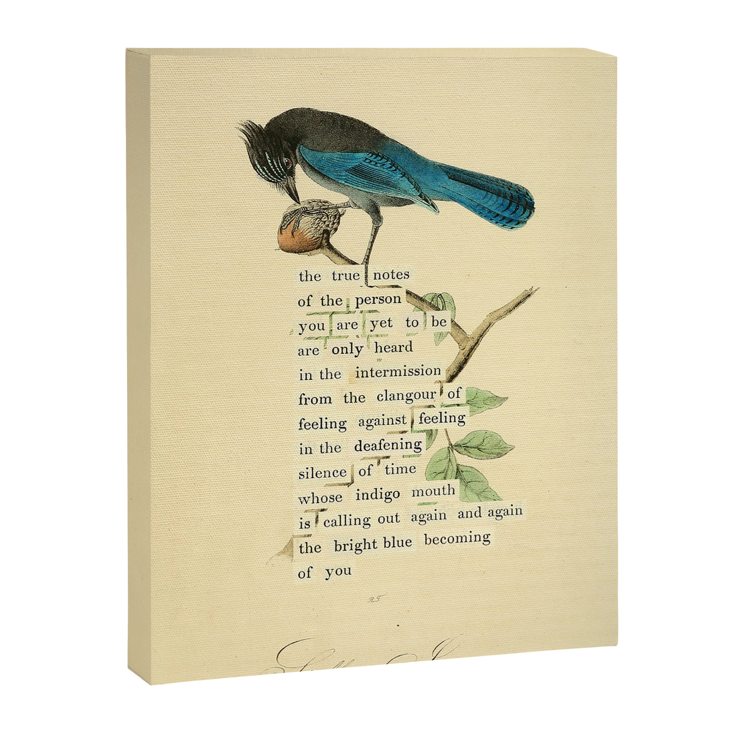 Stellers Jay Divination from # An Almanac of Birds # Divinations for Uncertain Days Canvas Print Gallery Image 6