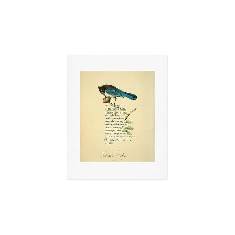 Stellers Jay Divination from # An Almanac of Birds # Divinations for Uncertain Days Art Print Gallery Image 1