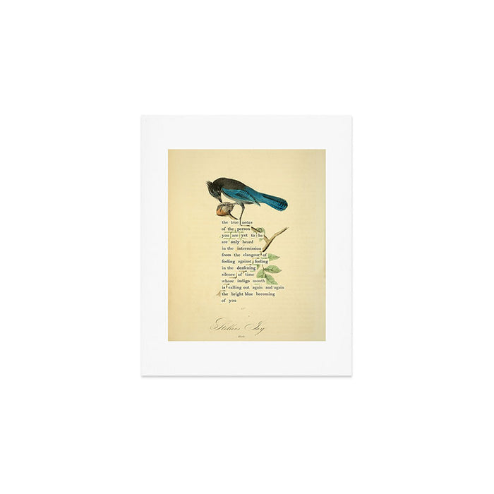 Stellers Jay Divination from # An Almanac of Birds # Divinations for Uncertain Days Art Print Gallery Image 1
