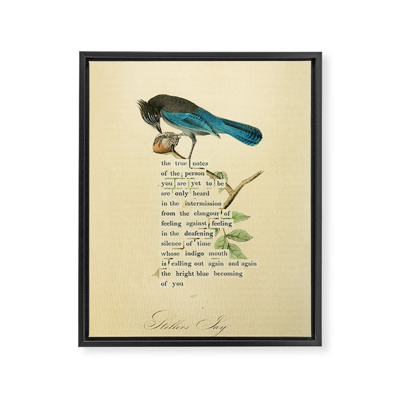 Stellers Jay Divination from # An Almanac of Birds # Divinations for Uncertain Days Framed Canvas Print Gallery Image 6