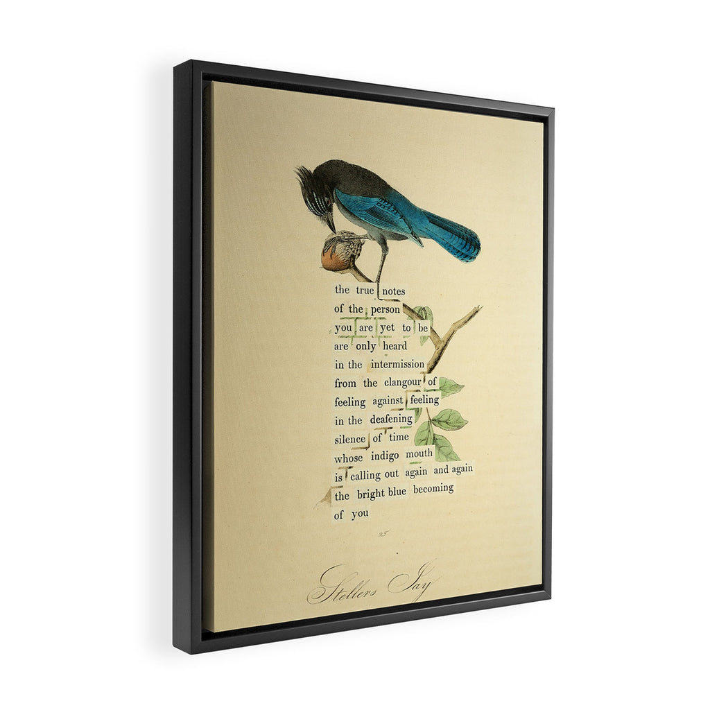 Stellers Jay Divination from # An Almanac of Birds # Divinations for Uncertain Days Framed Canvas Print Gallery Image 2