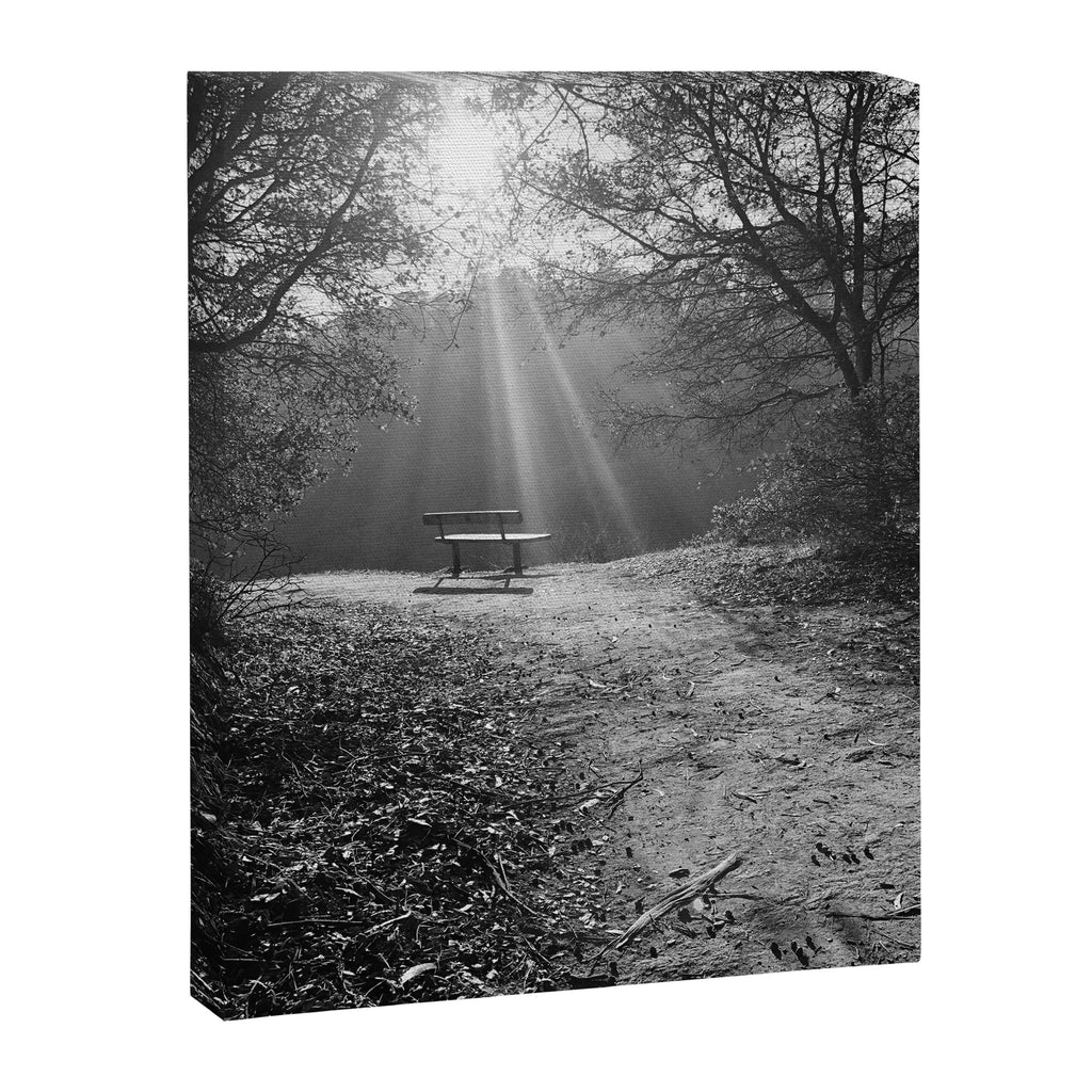 "Sunlit Solitude" by Maria Popova Canvas Print Gallery Image 6
