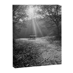 "Sunlit Solitude" by Maria Popova Canvas Print Gallery Image 6