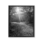"Sunlit Solitude" by Maria Popova Framed Canvas Print Gallery Image 6