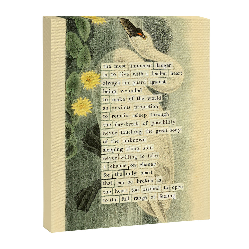 Swan Divination from 'An Almanac of Birds - Divinations for Uncertain Days' (almanacofbirds.org) Canvas Print Gallery Image 6