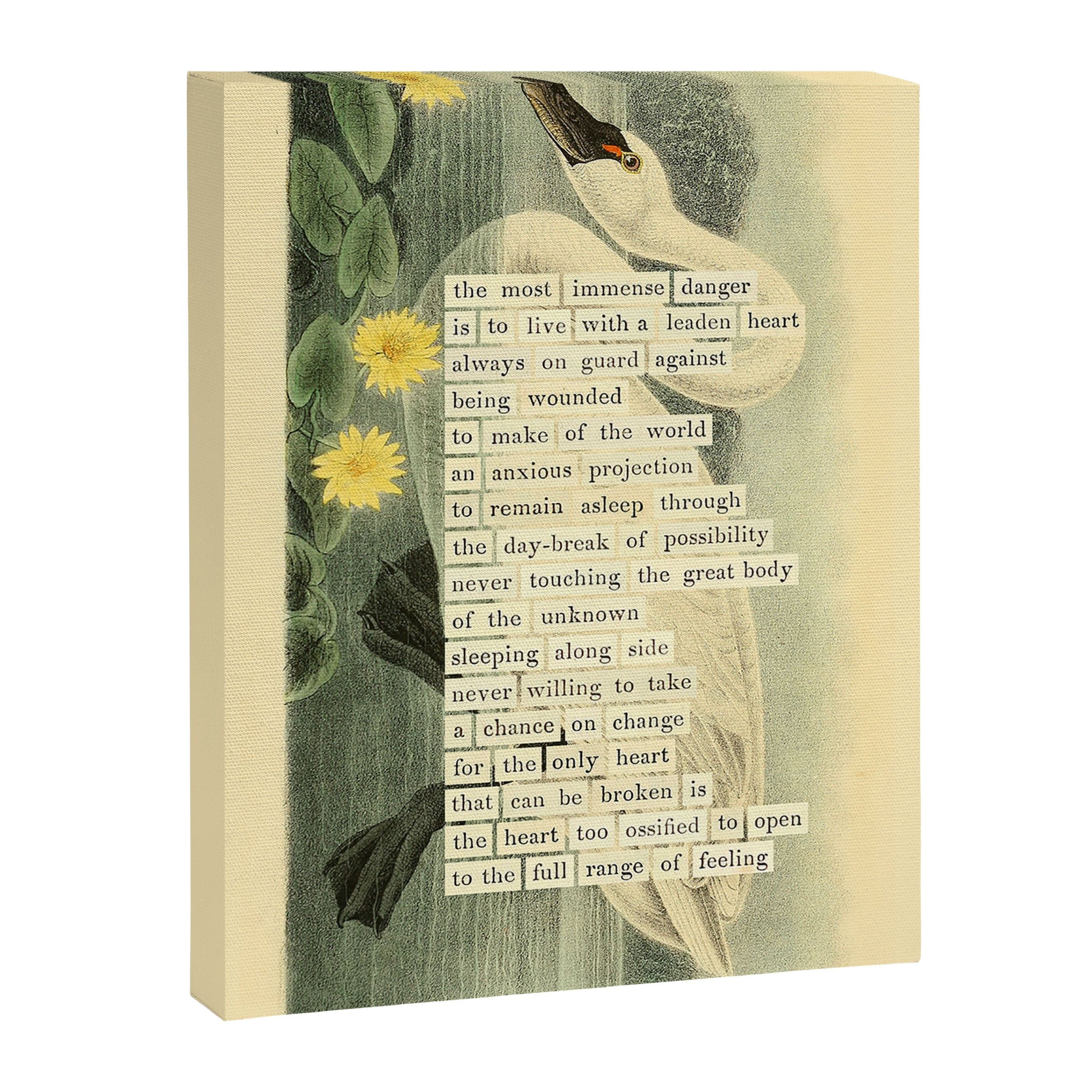 Swan Divination from 'An Almanac of Birds - Divinations for Uncertain Days' (almanacofbirds.org) Canvas Print Gallery Image 6