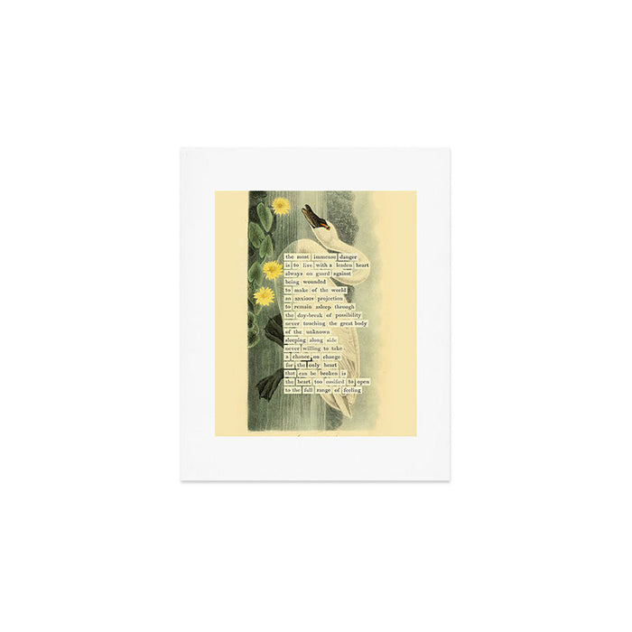 Swan Divination from 'An Almanac of Birds - Divinations for Uncertain Days' (almanacofbirds.org) Art Print Gallery Image 1