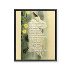 Swan Divination from 'An Almanac of Birds - Divinations for Uncertain Days' (almanacofbirds.org) Framed Canvas Print Gallery Image 6