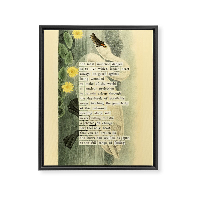 Swan Divination from 'An Almanac of Birds - Divinations for Uncertain Days' (almanacofbirds.org) Framed Canvas Print Gallery Image 6
