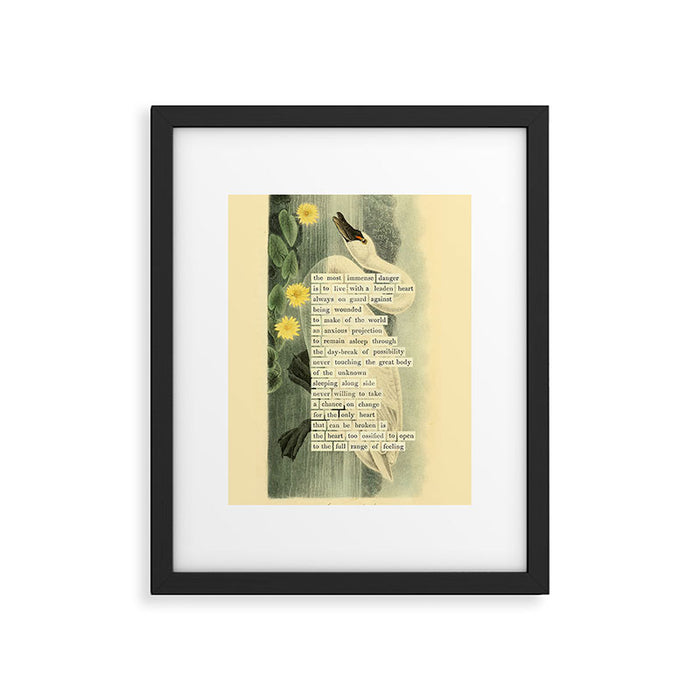 Swan Divination from 'An Almanac of Birds - Divinations for Uncertain Days' (almanacofbirds.org) Framed Art Print Gallery Image 1