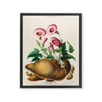 Sweet potato from "Flore dâAmÃ©rique" by Ãtienne Denisse, 1840s Framed Canvas Print Gallery Image 6