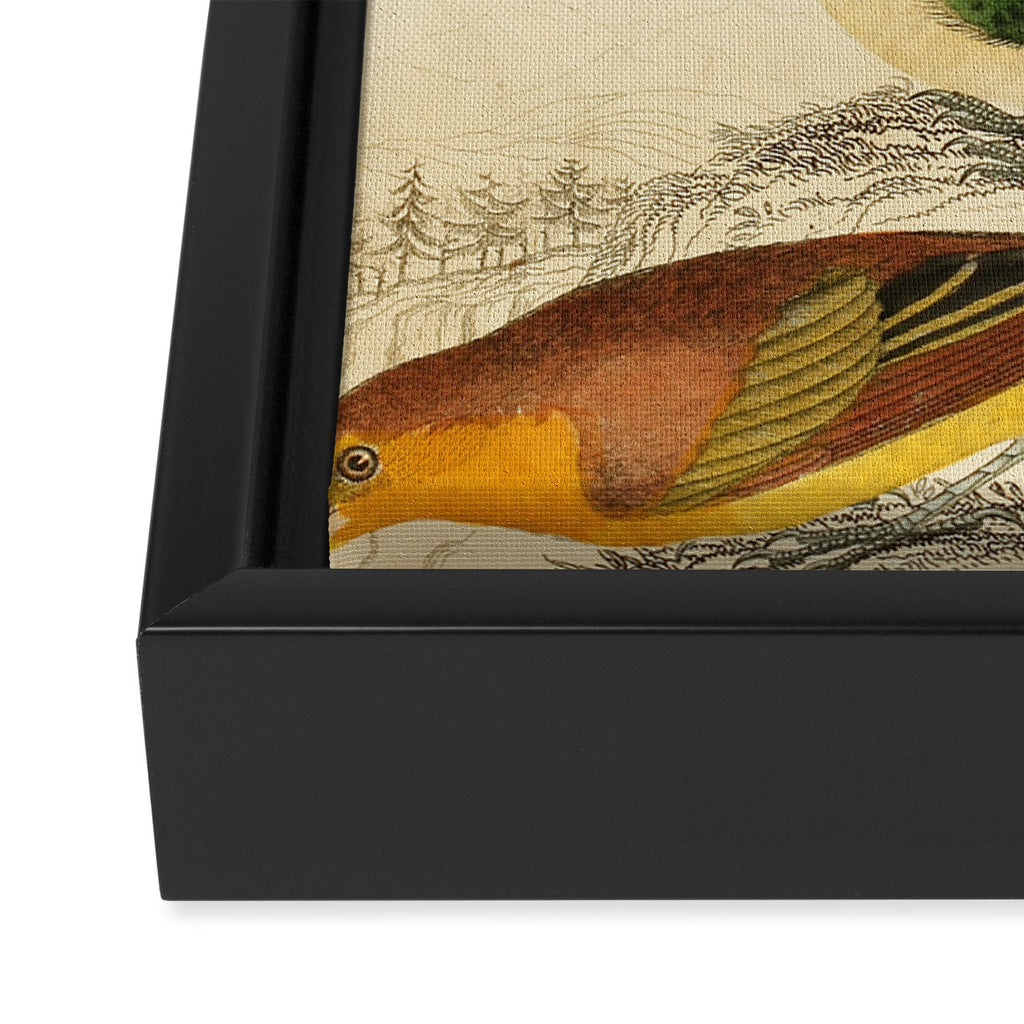 Tanagers from The Edinburgh Journal, 1835 (benefitting The Nature Conservancy) Framed Canvas Print Gallery Image 3