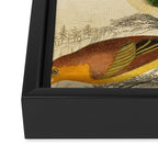 Tanagers from The Edinburgh Journal, 1835 (benefitting The Nature Conservancy) Framed Canvas Print Gallery Image 3