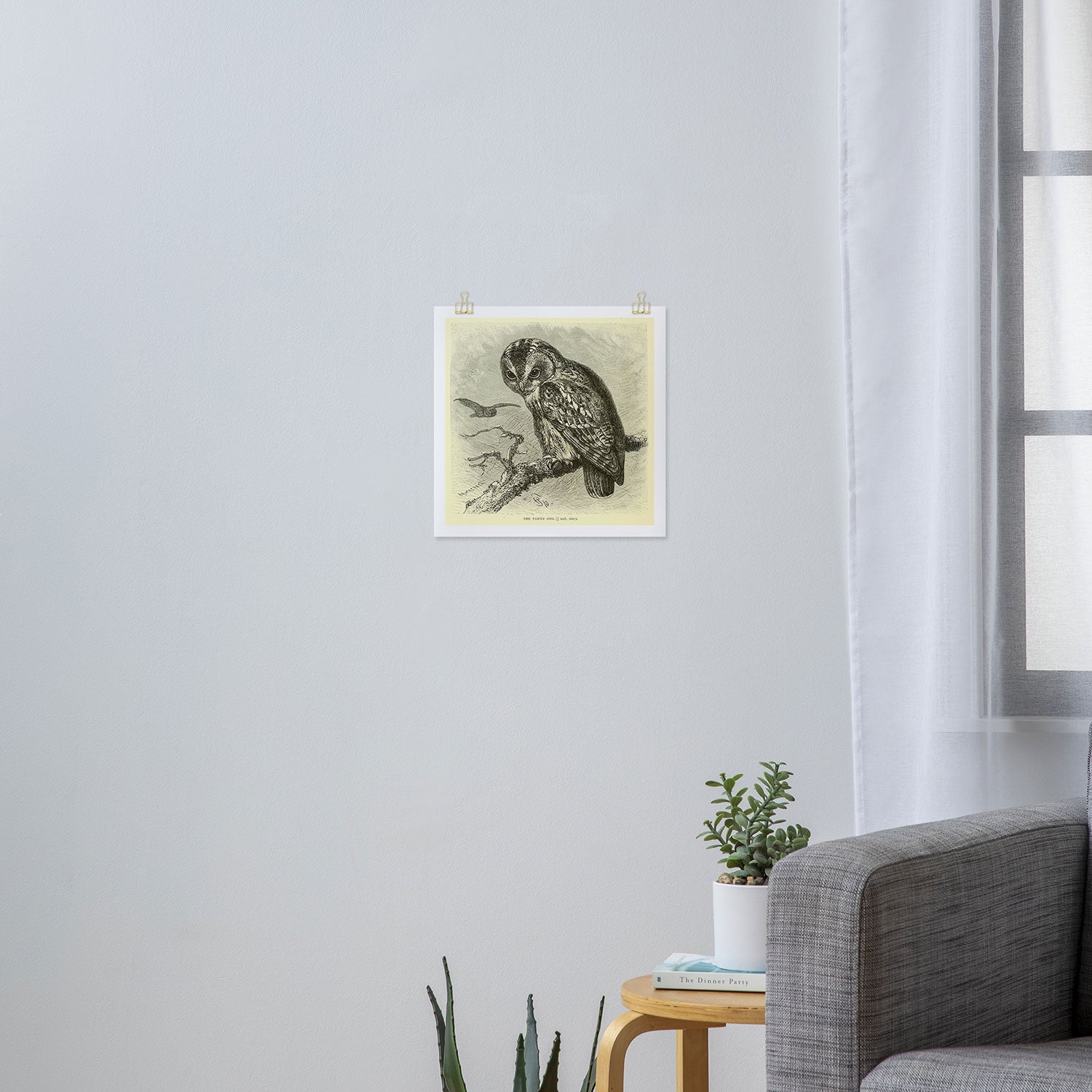 Tawny owl (1893) Art Print Gallery Image 3