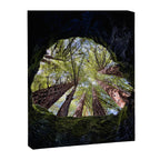 Telescope of Time (benefitting The Nature Conservancy)  Canvas Print Gallery Image 6