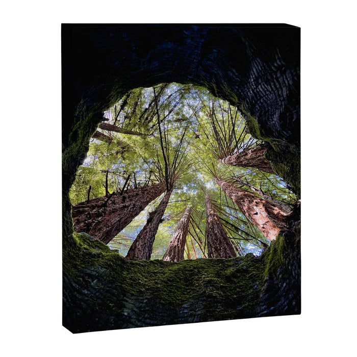 Telescope of Time (benefitting The Nature Conservancy)  Canvas Print Gallery Image 1