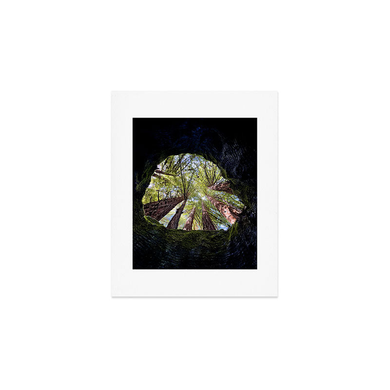 Telescope of Time (benefitting The Nature Conservancy)  Art Print Gallery Image 1