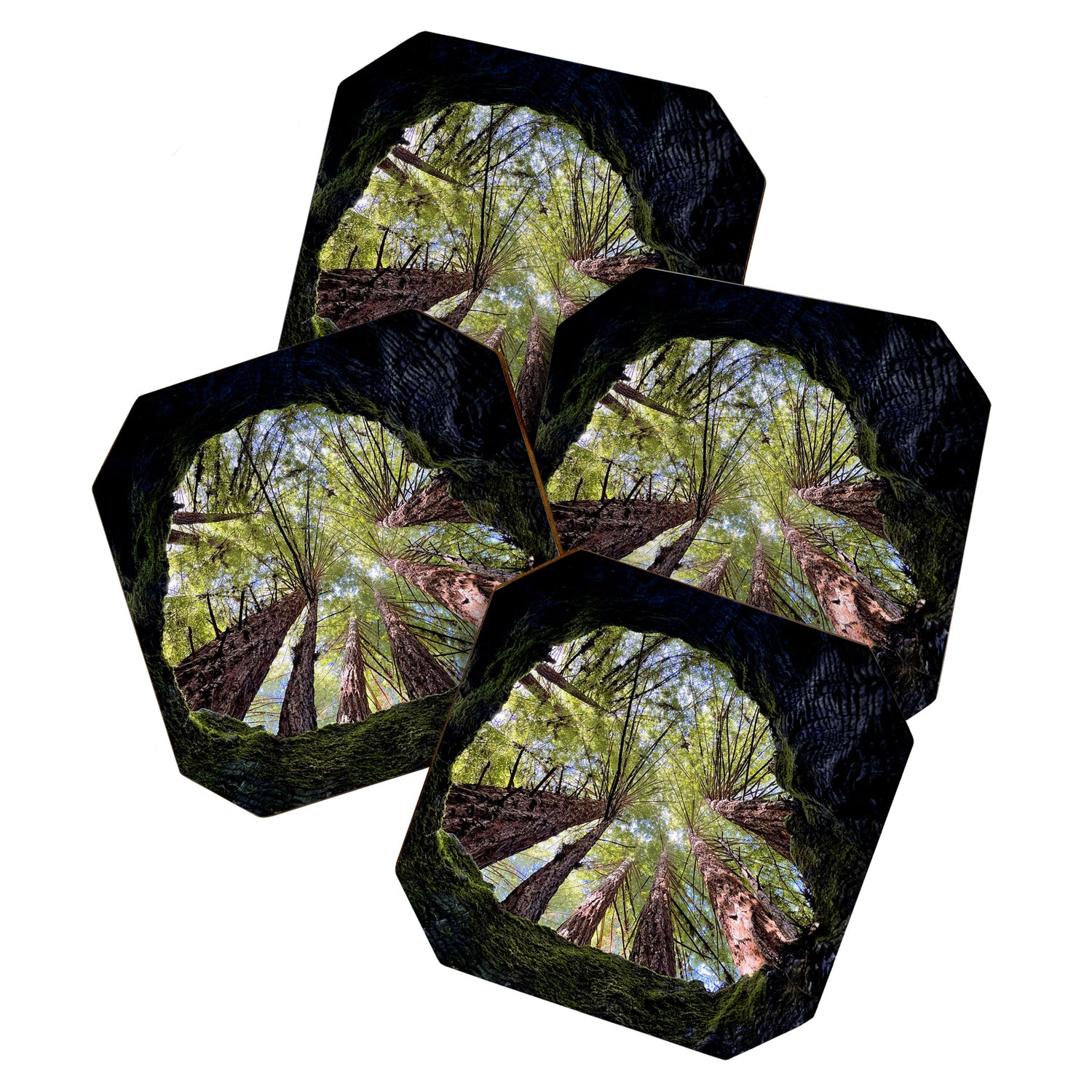 Telescope of Time (benefitting The Nature Conservancy)  Coaster Gallery Image 1