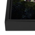 Telescope of Time (benefitting The Nature Conservancy)  Framed Canvas Print Gallery Image 3
