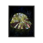Telescope of Time (benefitting The Nature Conservancy)  Framed Canvas Print Gallery Image 6